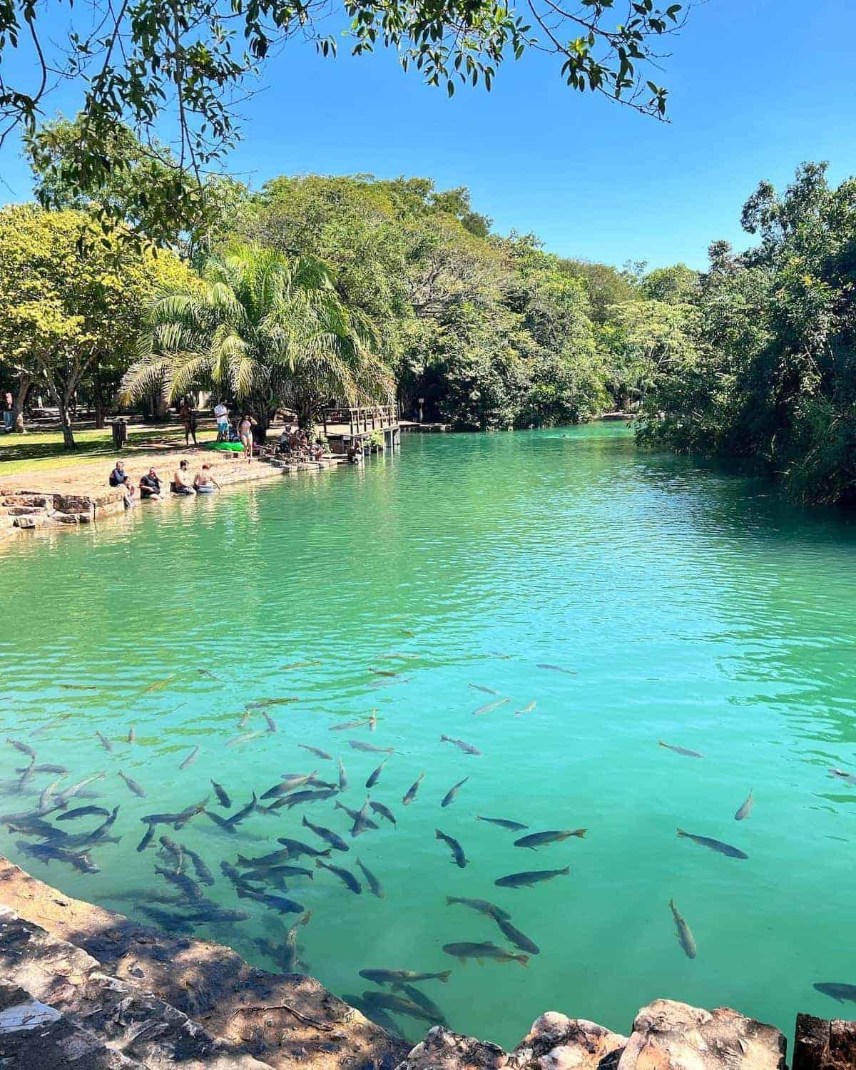 Barra Bonita Pousada Bonito  Dış mekan fotoğraf
